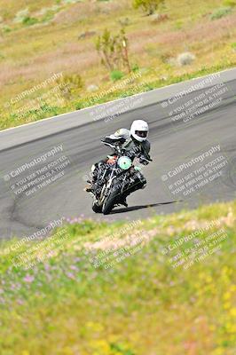 media/Apr-13-2024-Classic Track Day (Sat) [[9dd147332a]]/Group 3/Session 2 (Turns 5 and 6)/